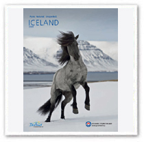 2009 Travel Brochure