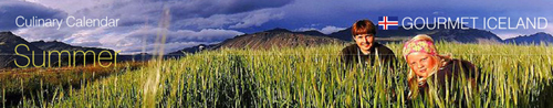 Icelandgourmetguide.com